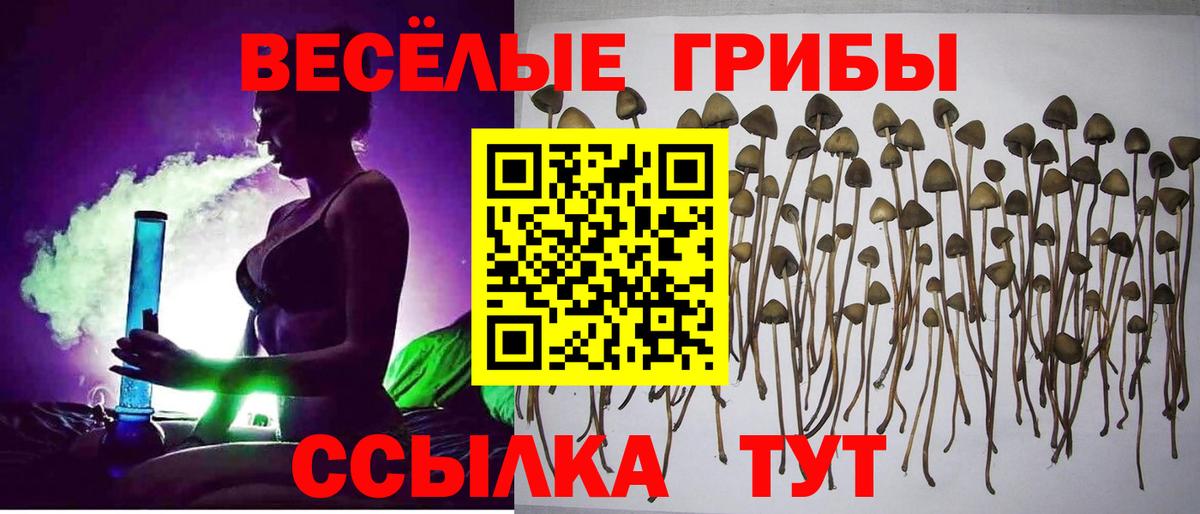 магазин    Вход с VPN  Елизово  Псилоцибиновые грибы мухоморы 