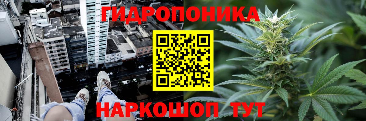 Марихуана Bruce Banner Елизово